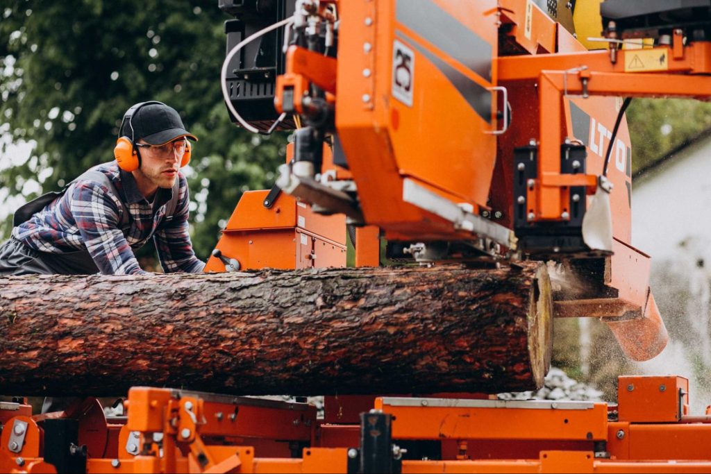 Professional arborist reviewing financial documents with tree care equipment in background