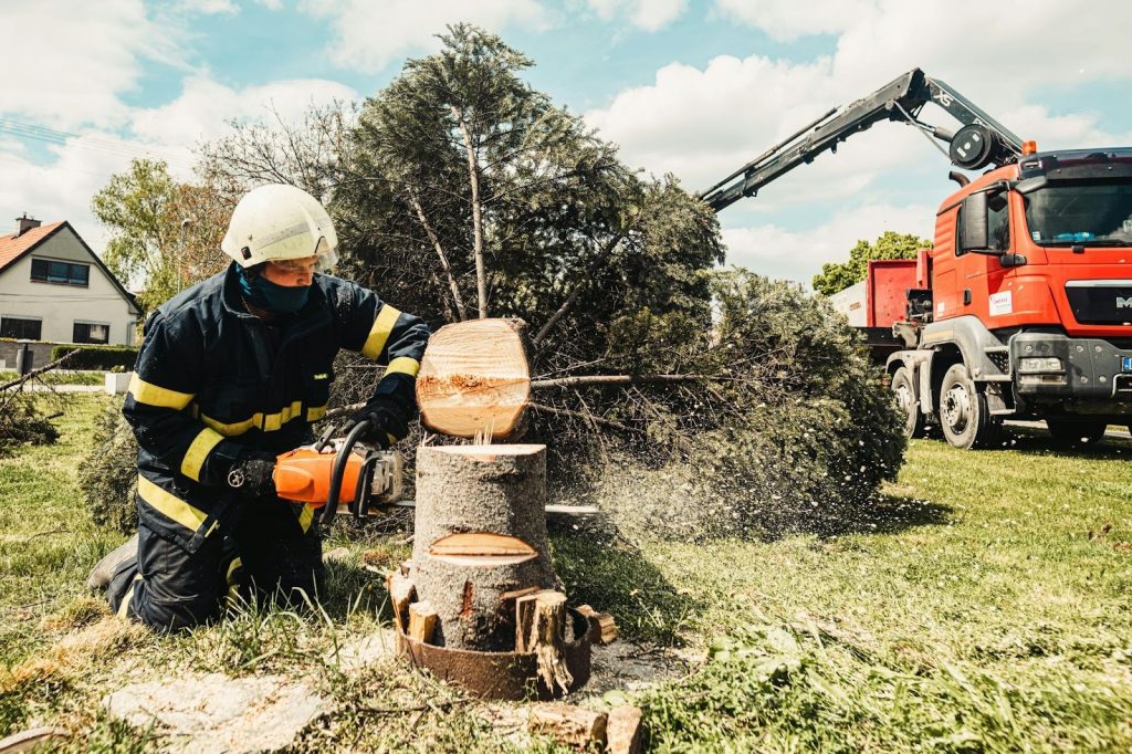 Job Costing: The Profit Engine for Tree Services